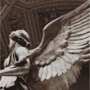 Meet your Posher, Mia